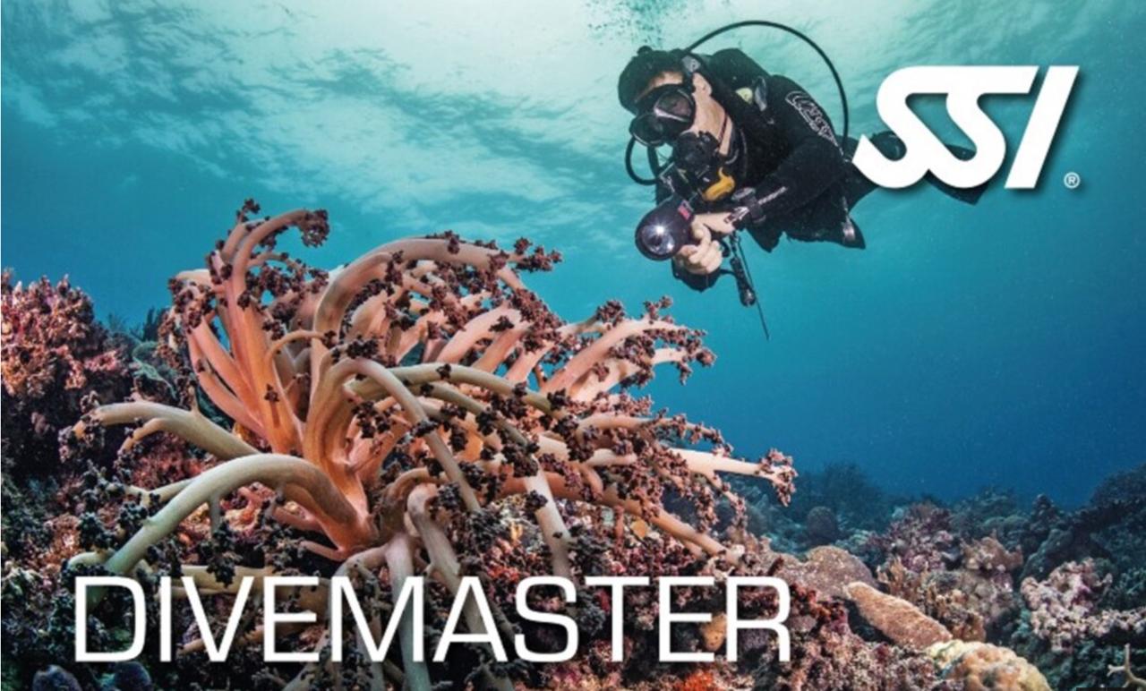 Guía de buceo + Divemaster