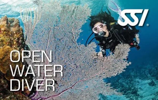 openwaterdiver